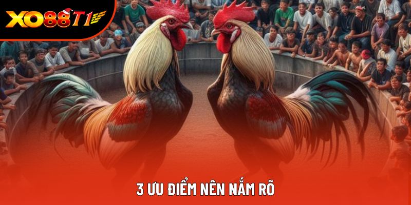 3 ưu điểm nên nắm rõ