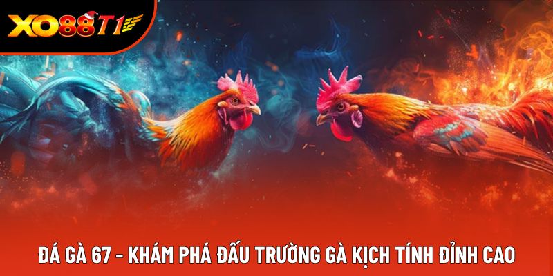 Đá Gà 67 - Khám Phá Đấu Trường Gà Kịch Tính Đỉnh Cao