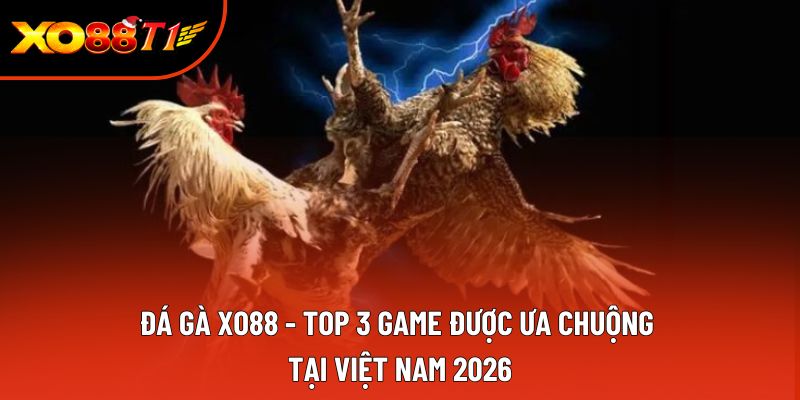 Đá Gà XO88 - Top 3 Game Được Ưa Chuộng Tại Việt Nam 2026