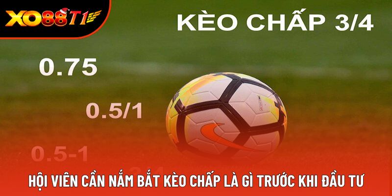 Hội viên cần nắm bắt kèo chấp là gì trước khi đầu tư Hội viên cần nắm bắt kèo chấp là gì trước khi đầu tư