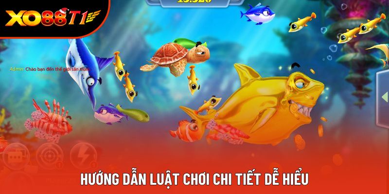 Hướng dẫn luật chơi chi tiết dễ hiểu