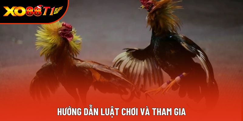 Hướng dẫn luật chơi và tham gia