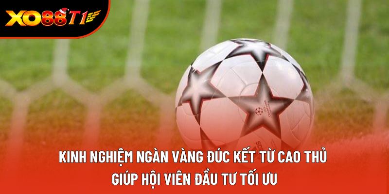 Kinh nghiệm ngàn vàng đúc kết từ cao thủ giúp hội viên đầu tư tối ưu