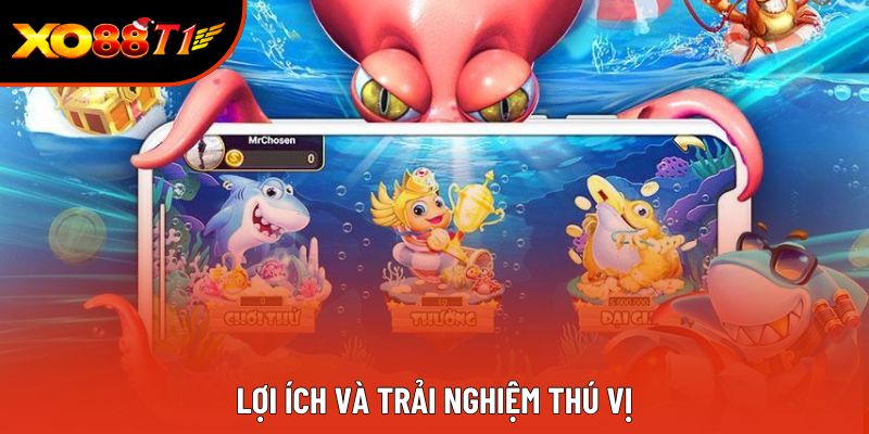 Lợi ích và trải nghiệm thú vị