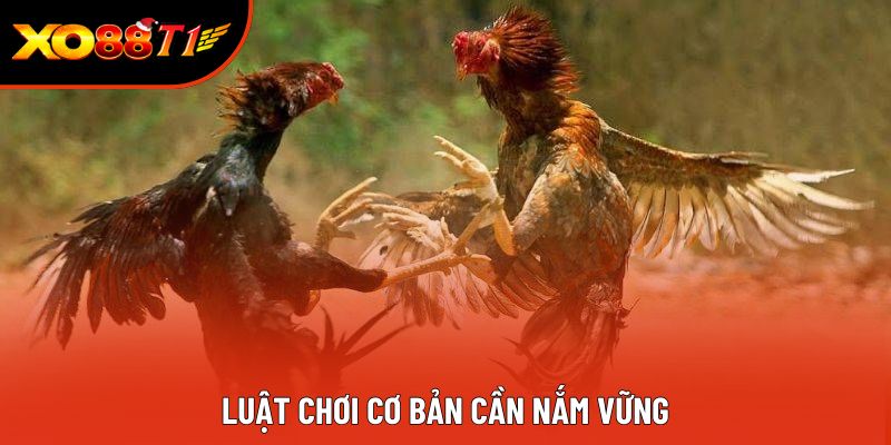 Luật chơi cơ bản cần nắm vững