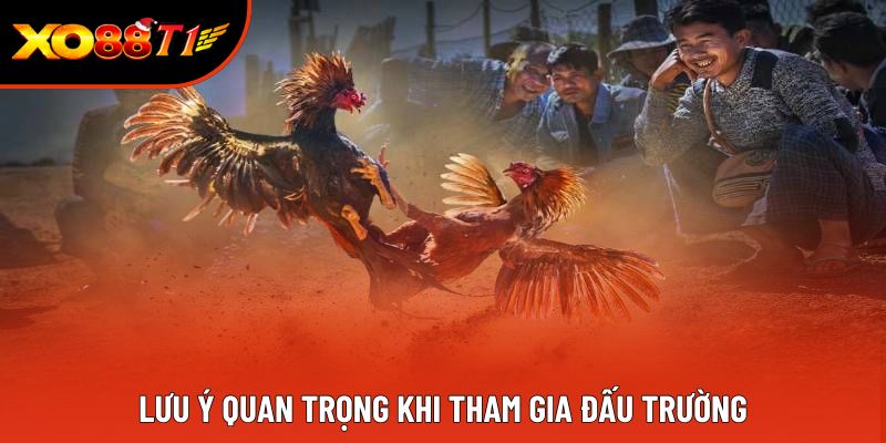 Lưu ý quan trọng khi tham gia đấu trường
