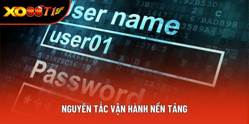 Nguyên tắc vận hành nền tảng Nguyên tắc vận hành nền tảng