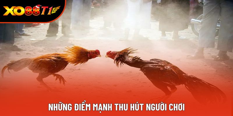 Những điểm mạnh thu hút người chơi