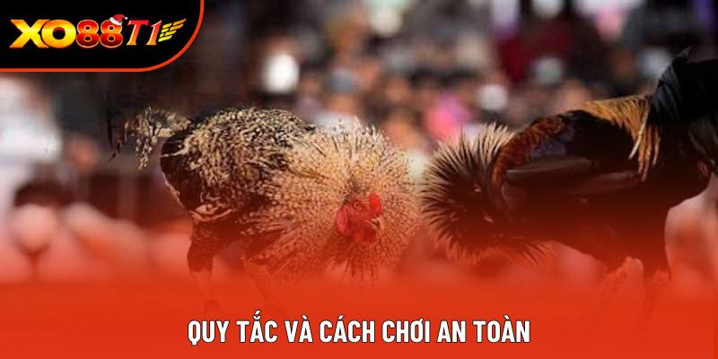 Quy tắc và cách chơi an toàn