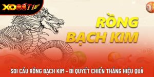 Soi Cầu Rồng Bạch Kim - Bí Quyết Chiến thắng Hiệu Quả
